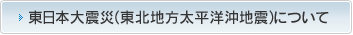 東日本大震災（東北地方太平洋沖地震）について